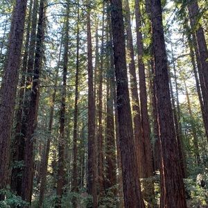 Meet your Posher, Erina